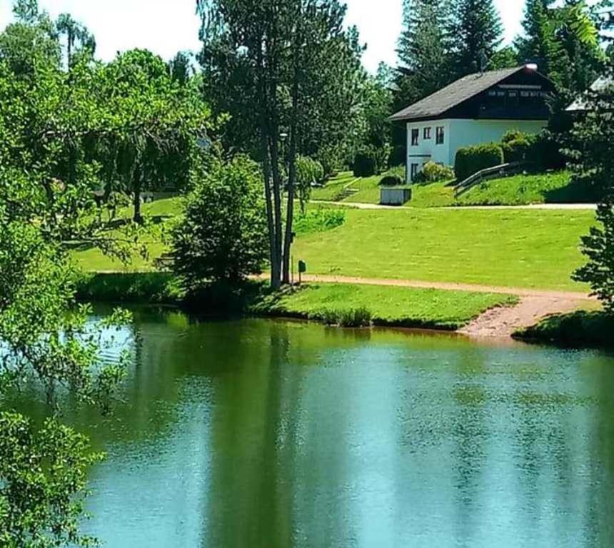 Ferienwohnungen Am Skilift Herrischried Exteriér fotografie