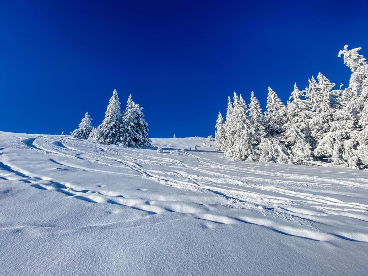 Ferienwohnungen Am Skilift Herrischried Exteriér fotografie