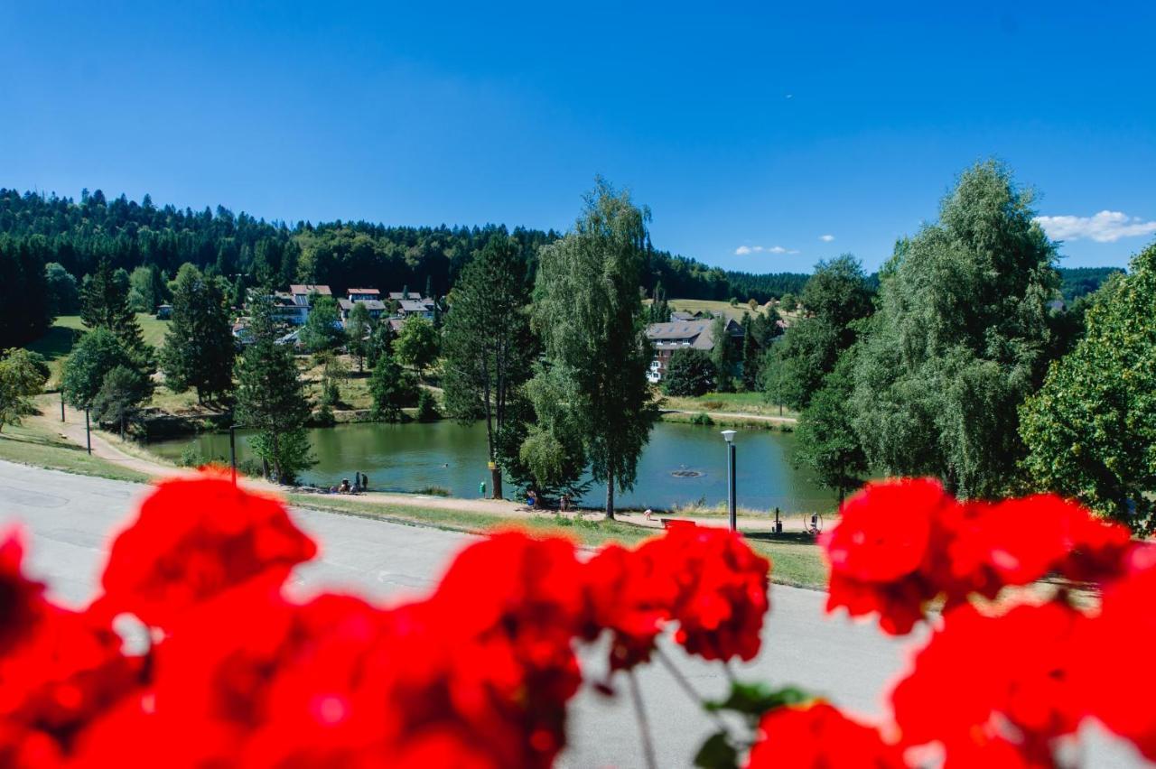 Ferienwohnungen Am Skilift Herrischried Exteriér fotografie