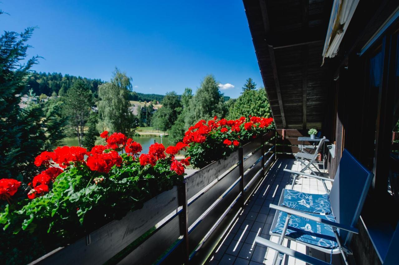 Ferienwohnungen Am Skilift Herrischried Exteriér fotografie