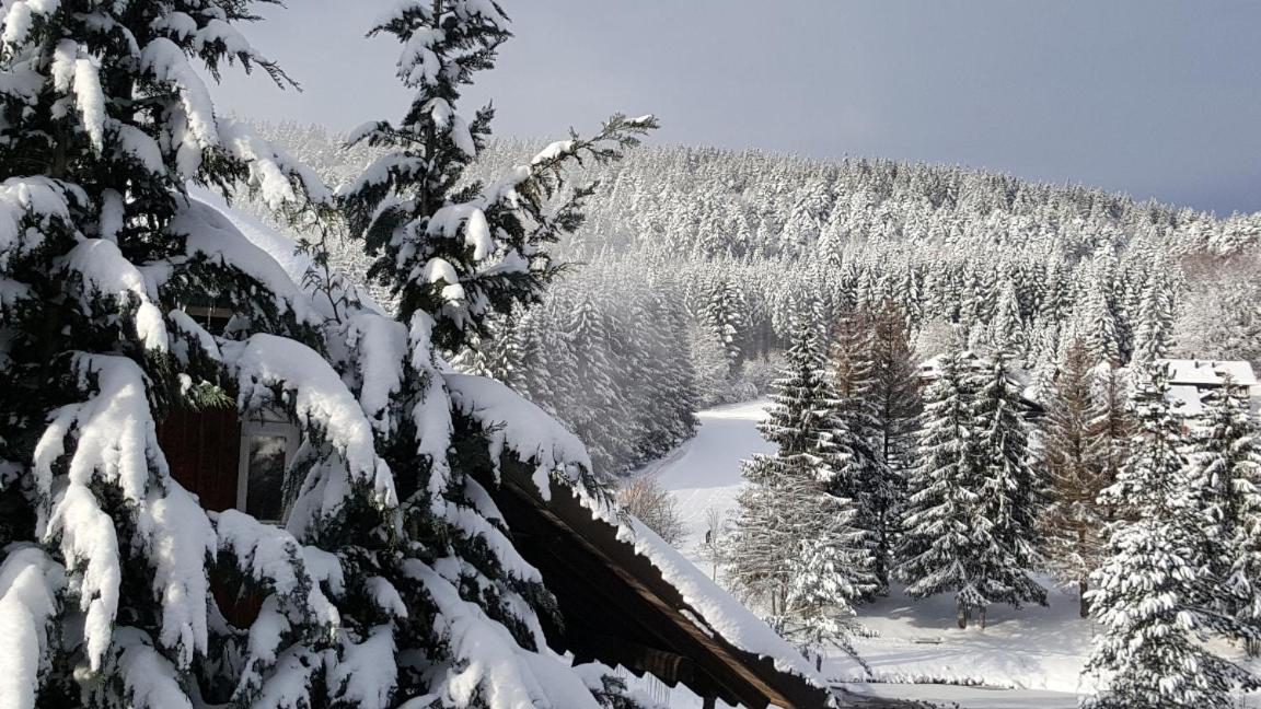 Ferienwohnungen Am Skilift Herrischried Exteriér fotografie