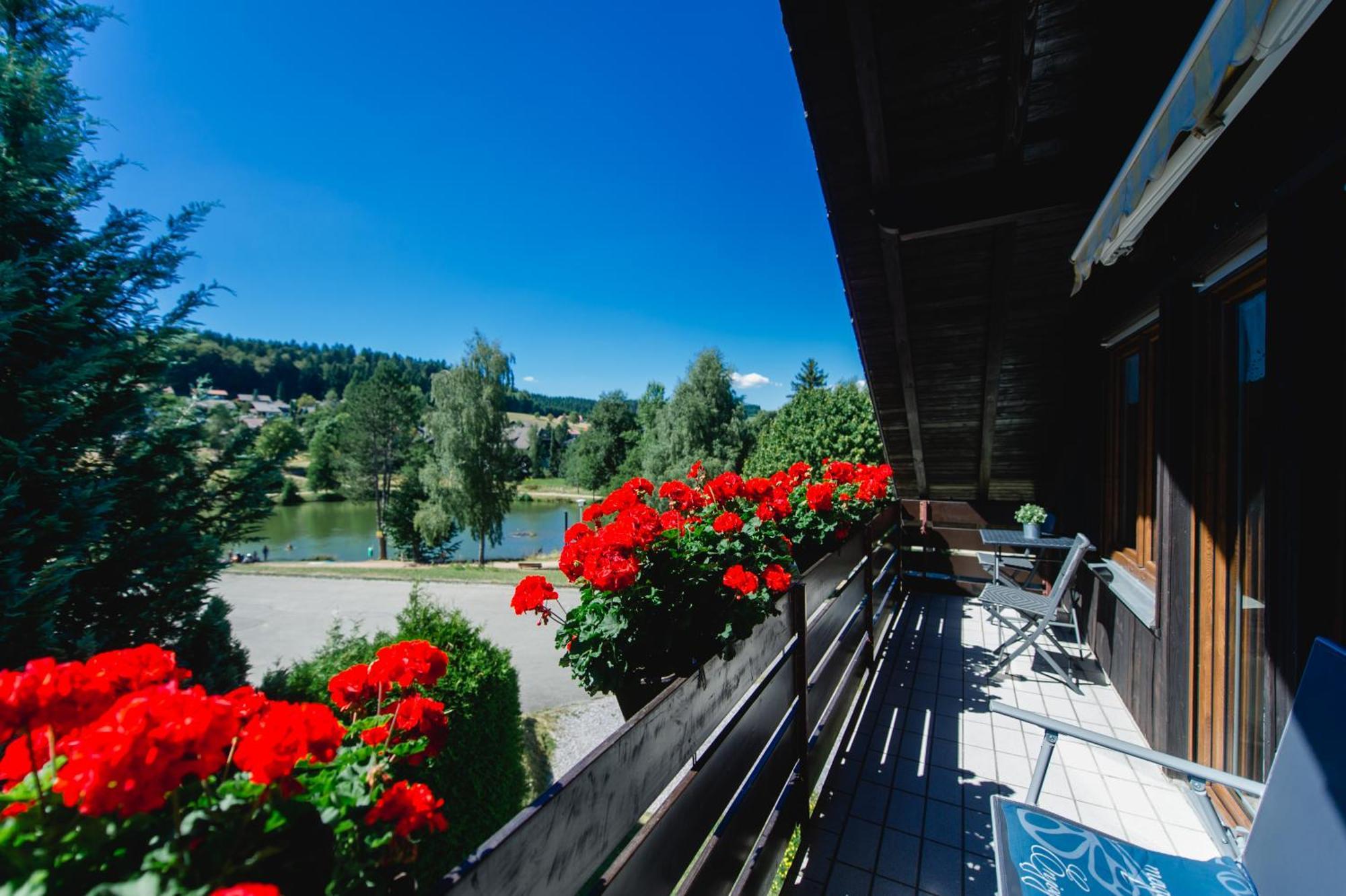Ferienwohnungen Am Skilift Herrischried Exteriér fotografie