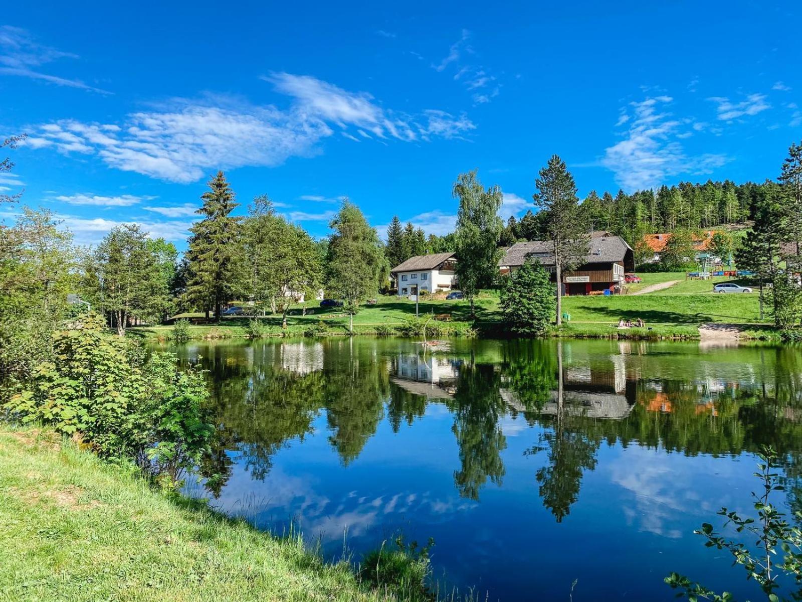 Ferienwohnungen Am Skilift Herrischried Exteriér fotografie