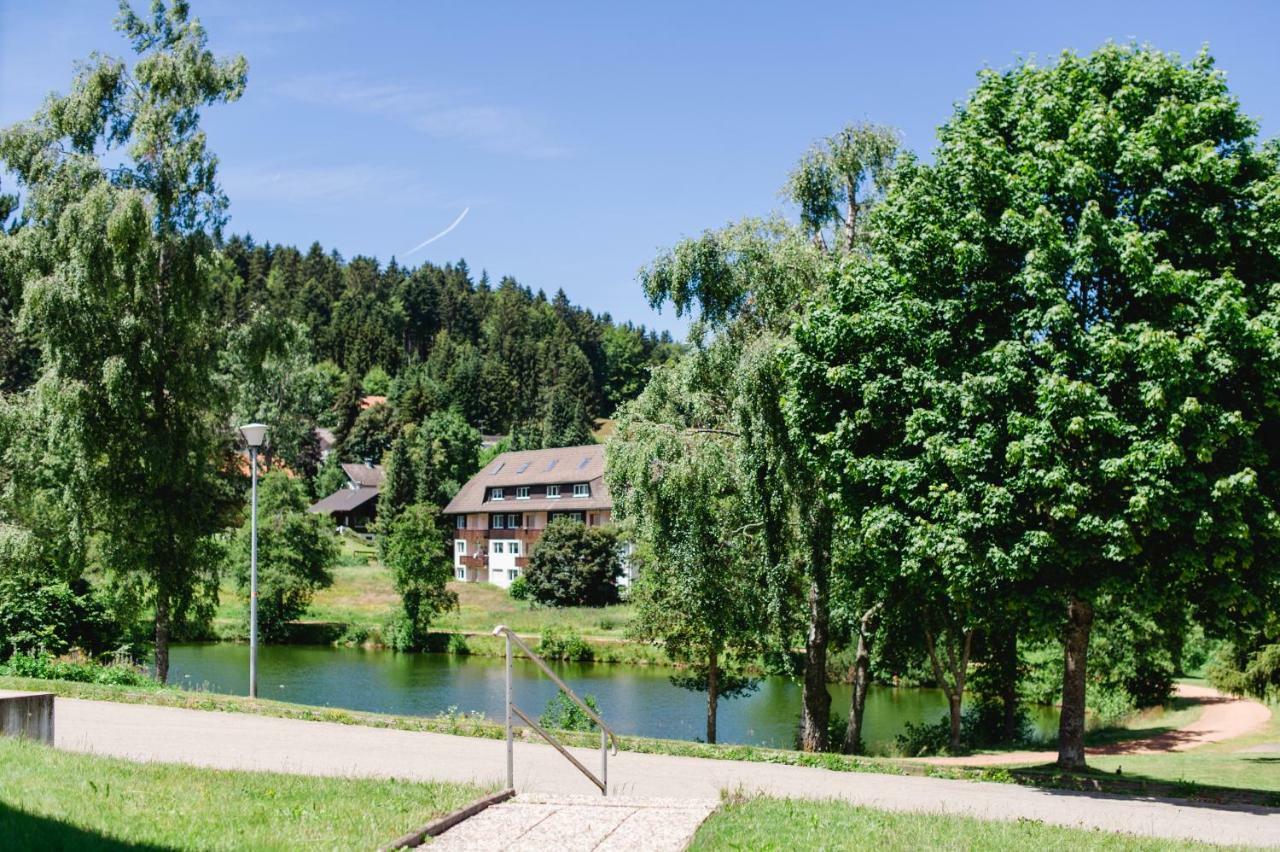 Ferienwohnungen Am Skilift Herrischried Exteriér fotografie