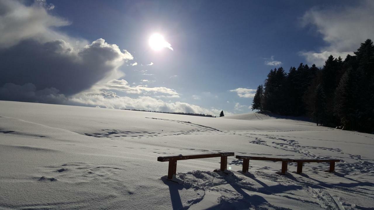 Ferienwohnungen Am Skilift Herrischried Exteriér fotografie