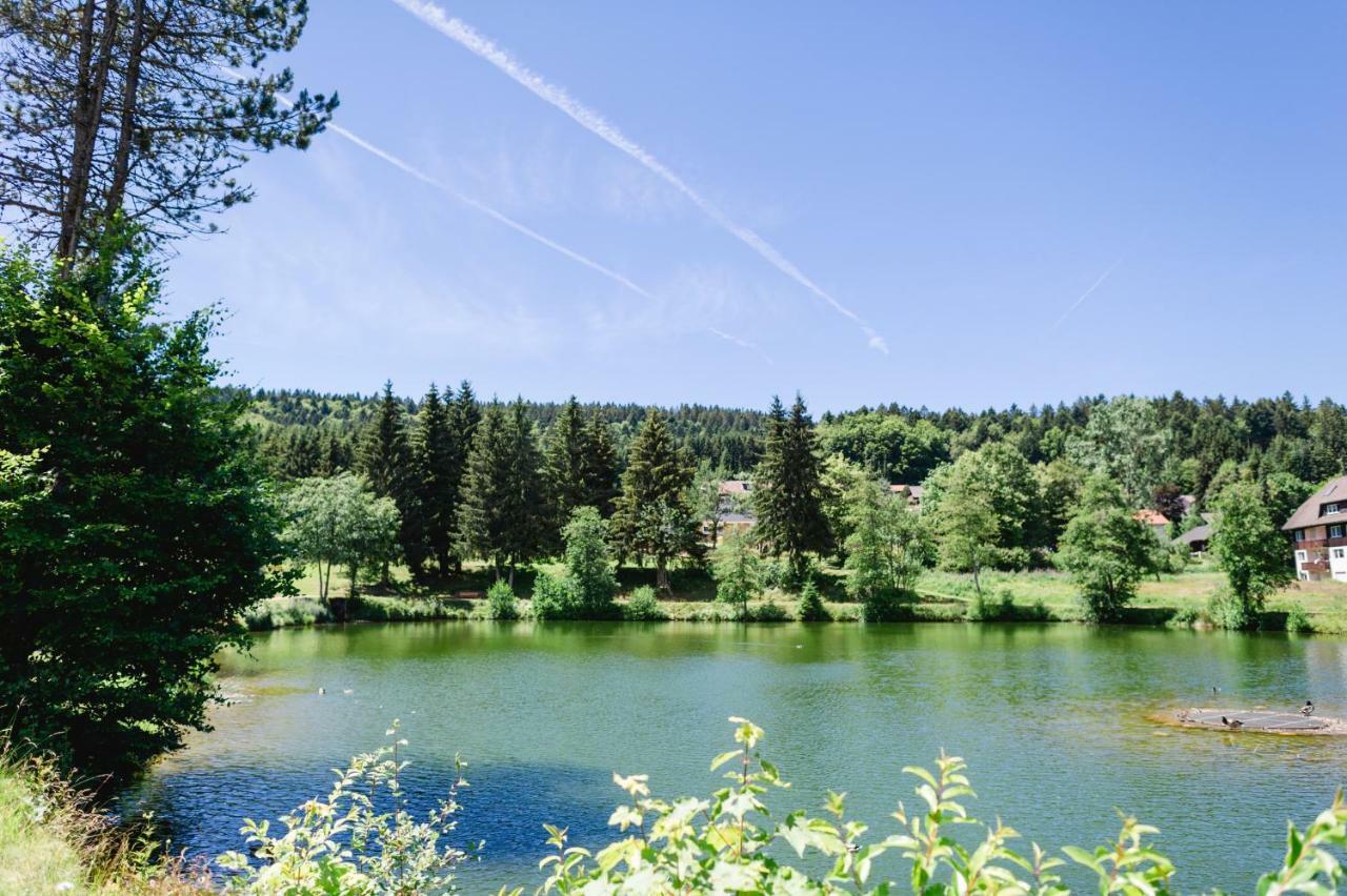 Ferienwohnungen Am Skilift Herrischried Exteriér fotografie