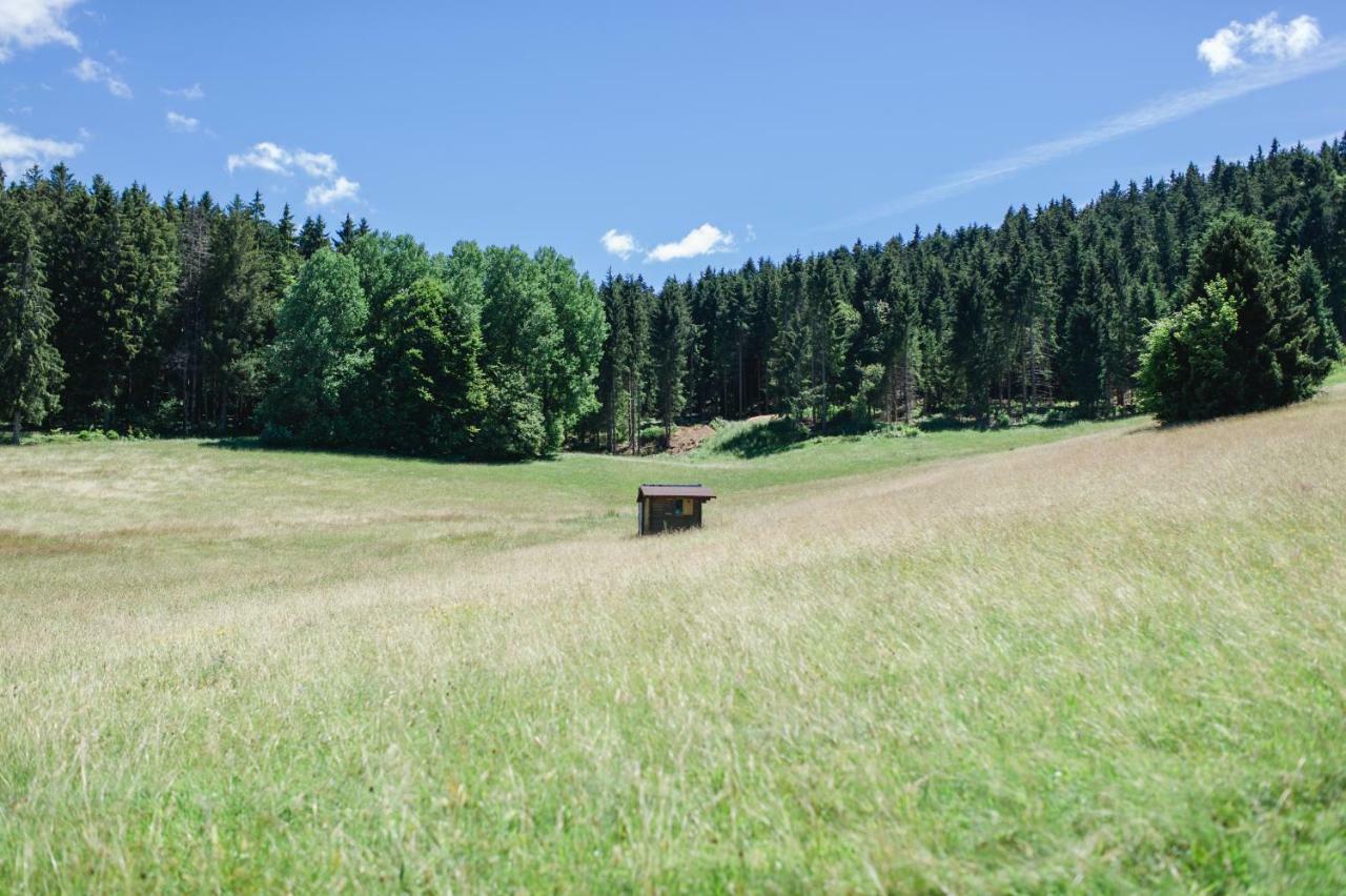 Ferienwohnungen Am Skilift Herrischried Exteriér fotografie