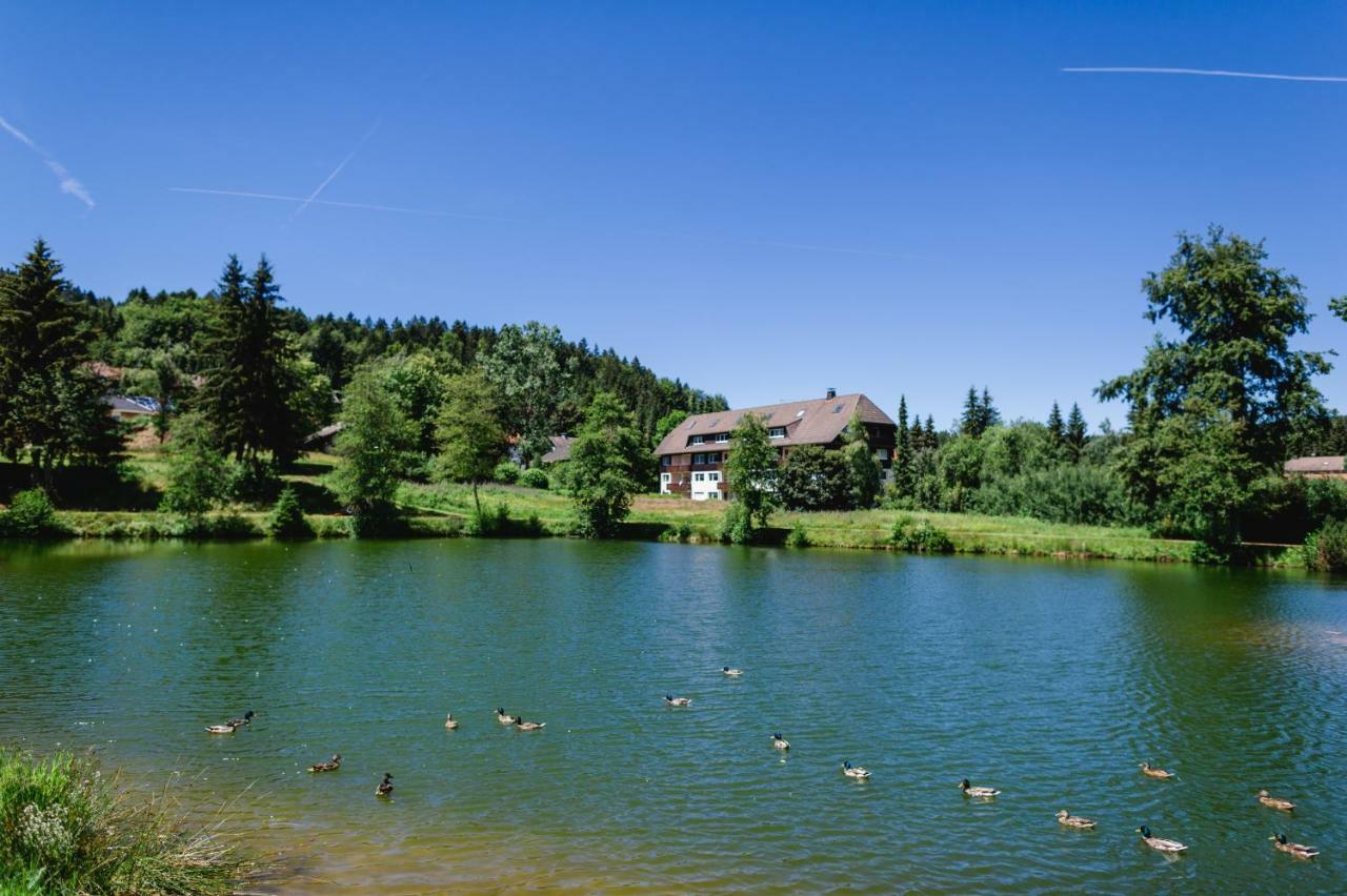 Ferienwohnungen Am Skilift Herrischried Exteriér fotografie