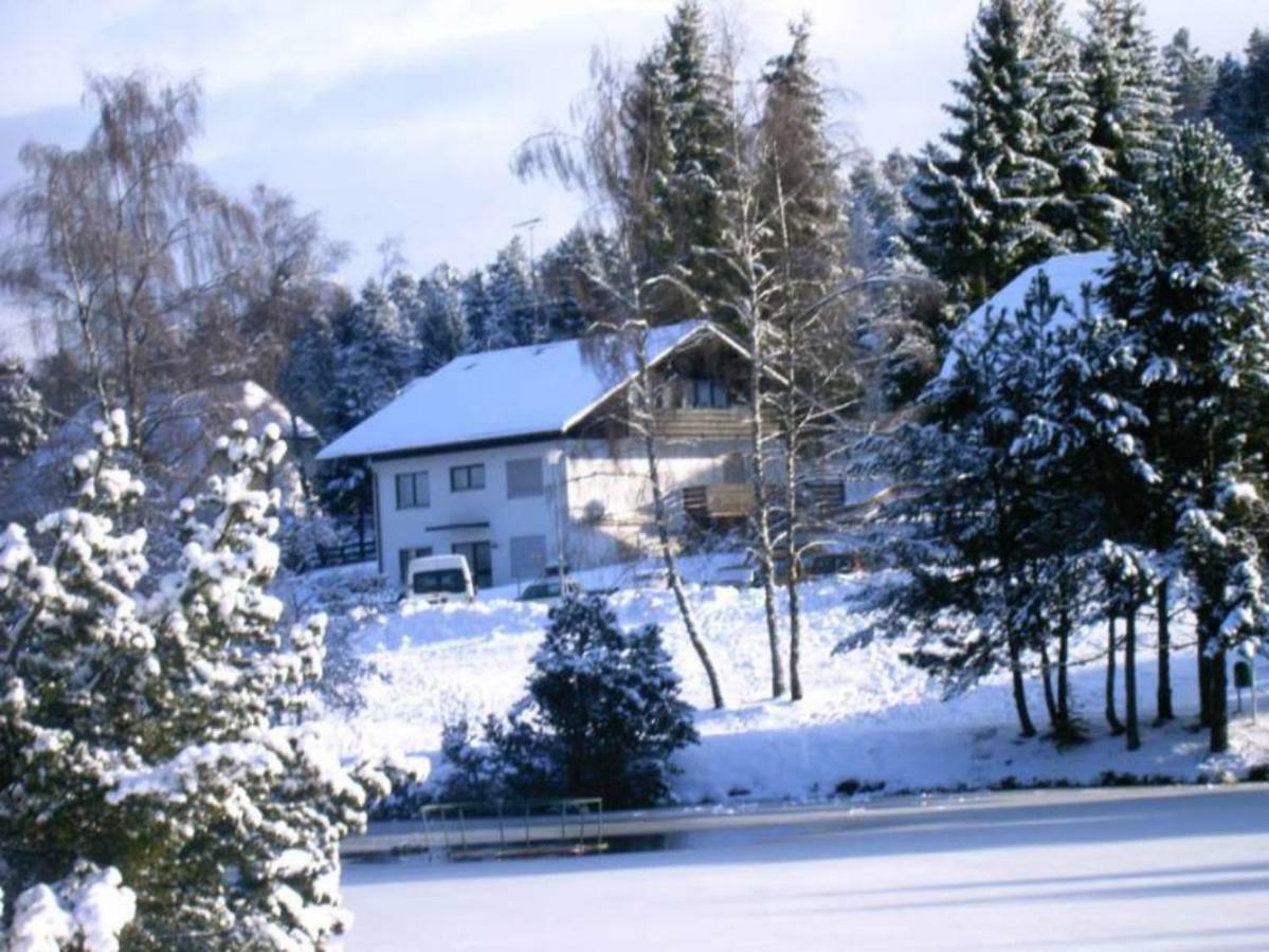 Ferienwohnungen Am Skilift Herrischried Exteriér fotografie